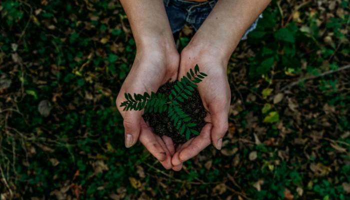 Sustainable Tourism